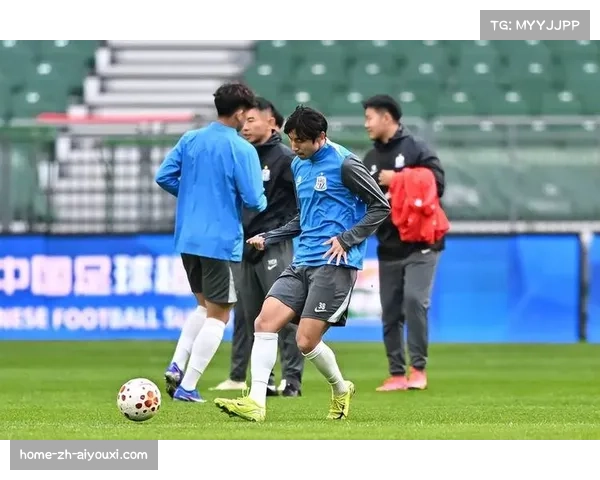 申花盖伊高中锋特点未发挥，伤病潮迫使年轻球员进入轮换序列